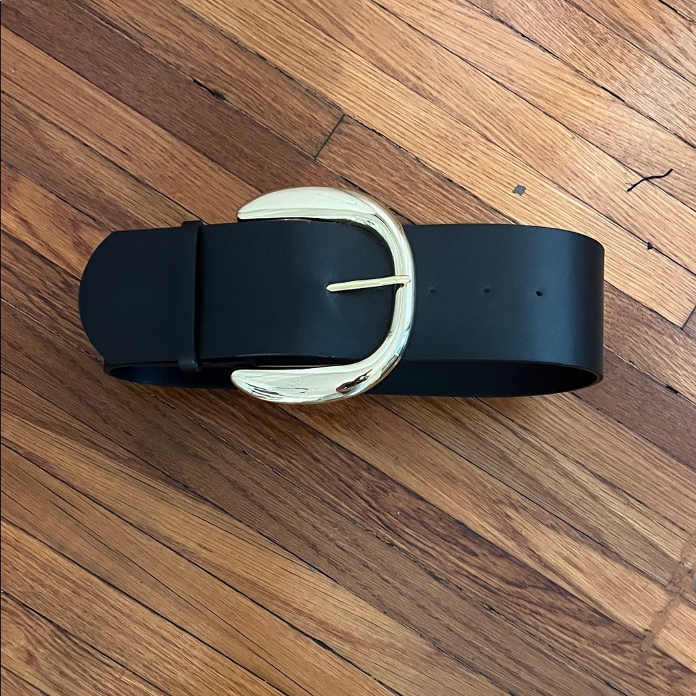 Black Belt with Gold Buckle